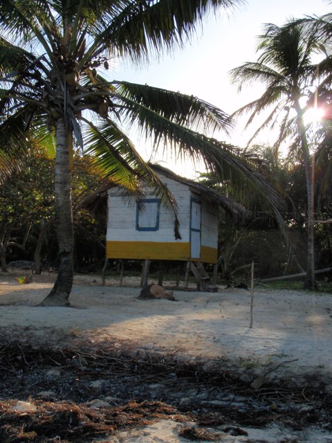 beachbungalow1.jpg