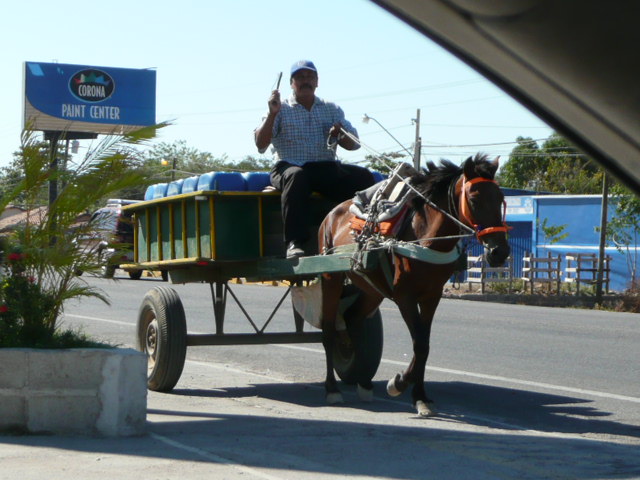 horsecart1.jpg