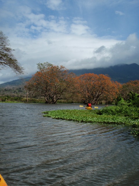 kayaking1.jpg