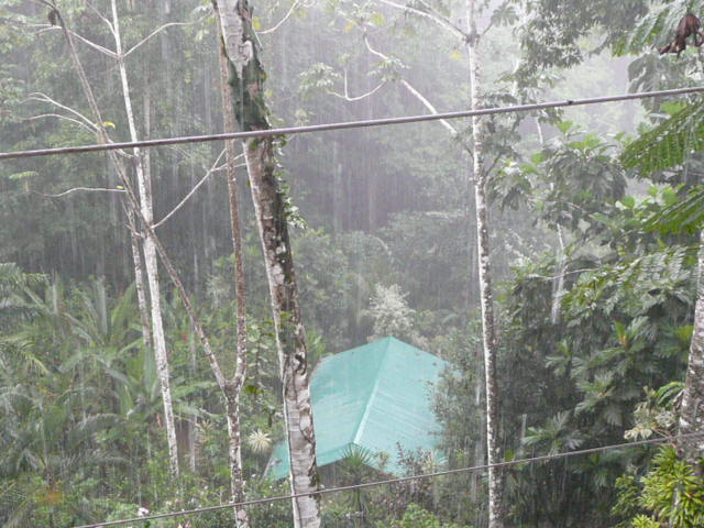 rainmanzanillaourplace.jpg