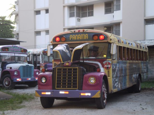 repanamcitybus.jpg