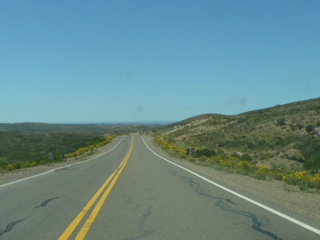 roadview4.jpg