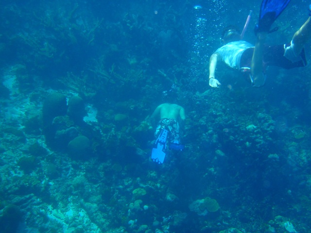 snorkelers.jpg